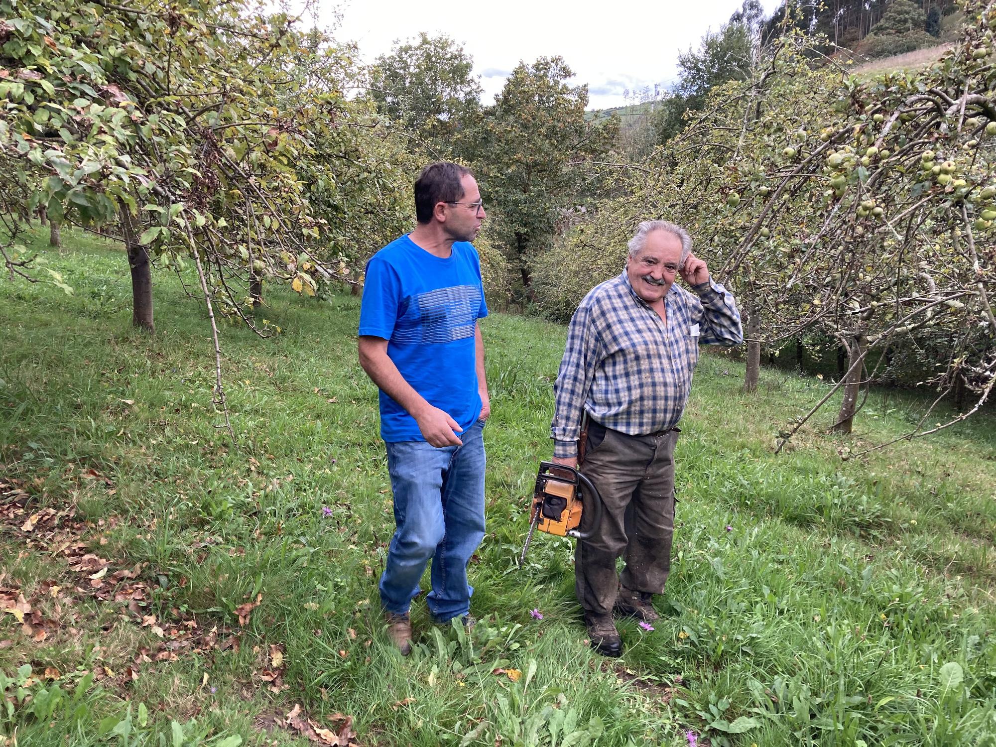 Muñó reivindica sus variedades de manzana: "Se están perdiendo"