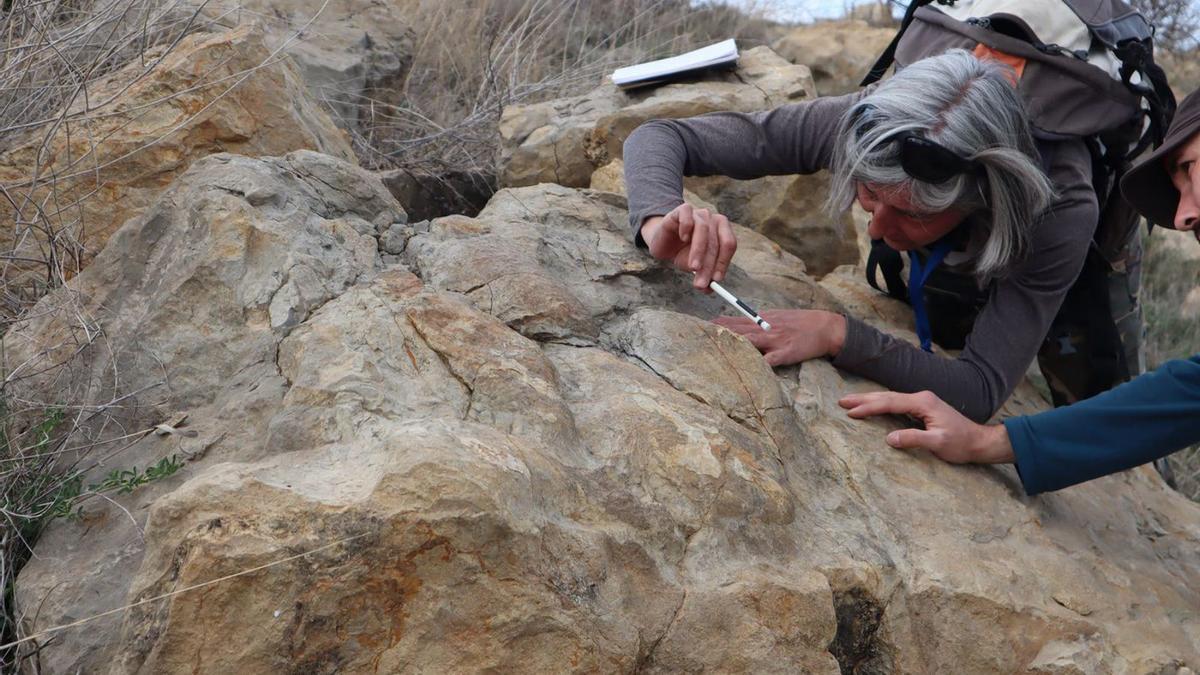 Uno de los paleontólogos examina las huellas halladas en una roca caliza de Camarillas.  | INSTITUTO CATALÁN DE PALEONTOLOGÍA