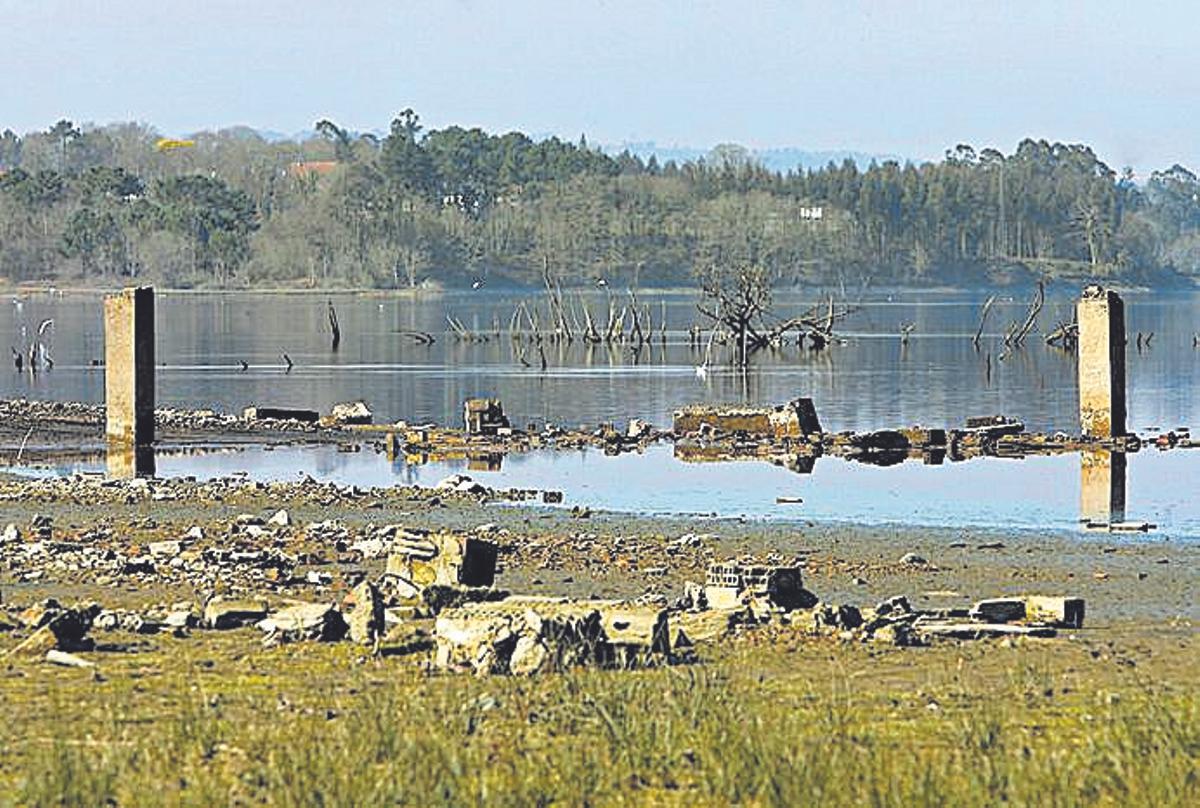 Pantano semiseco, que nos recuerda nuestra debilidad como especie.