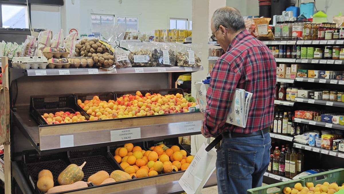 FOTOS | La campaña de albaricoques en la Cooperativa de Porreres, en imágenes
