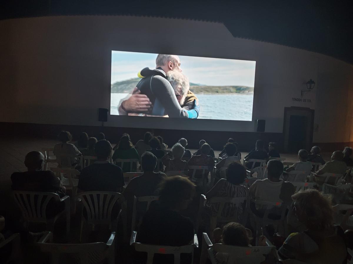 Imagen de Cinestival.