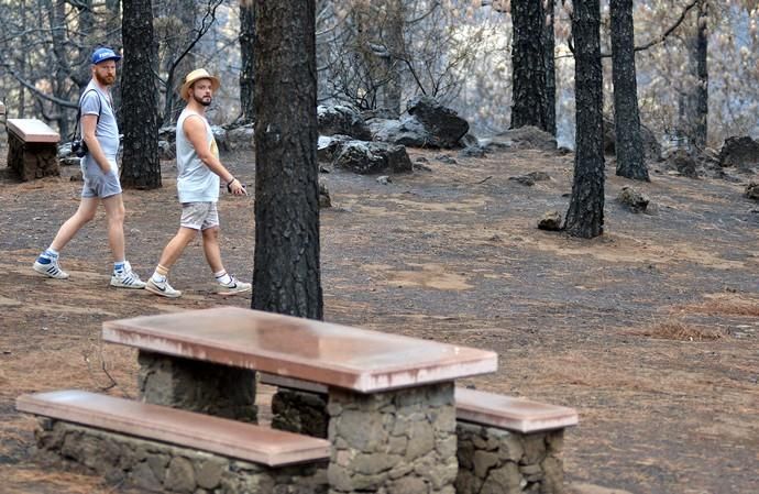 INCENDIO CUMBRE GRAN CANARIA