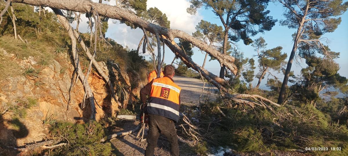 FOTOS | Operativo de búsqueda de los 13 menores perdidos en la Comuna de Bunyola FOTOS | Operativo de búsqueda de los 13 menores perdidos en la Comuna de Bunyola