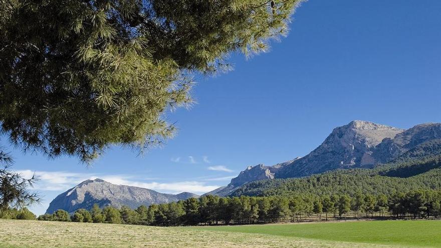 Una ruta en Sierra Espuña dará a conocer la conexión entre el ser humano y el bosque