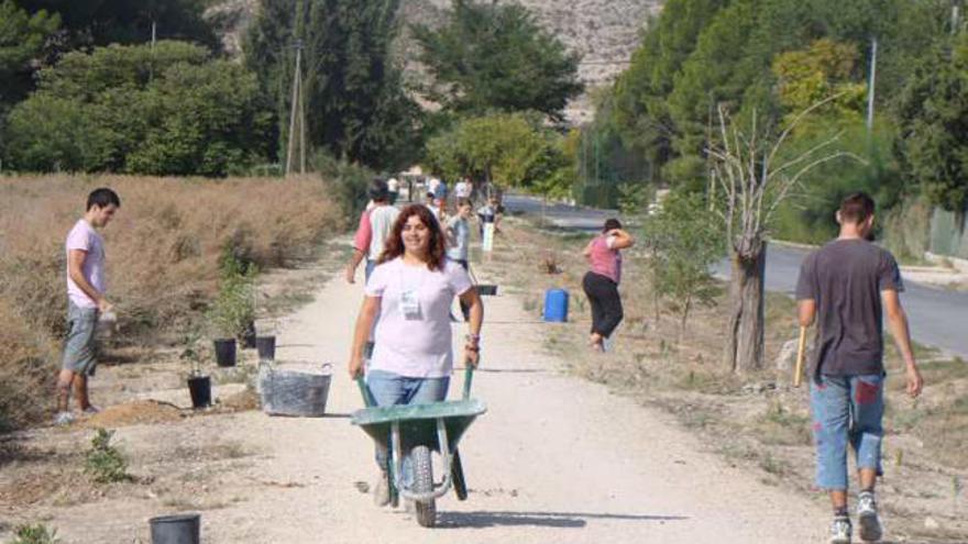 Centenares de plantas en Las Virtudes