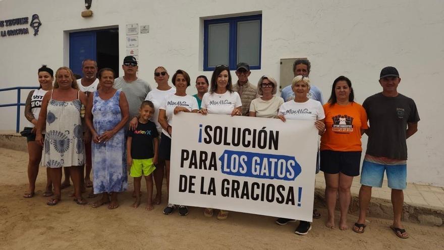 La Graciosa reclama una solución para la esterilización y control de las colonias de gatos