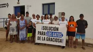 La Graciosa reclama una solución para la esterilización y control de las colonias de gatos