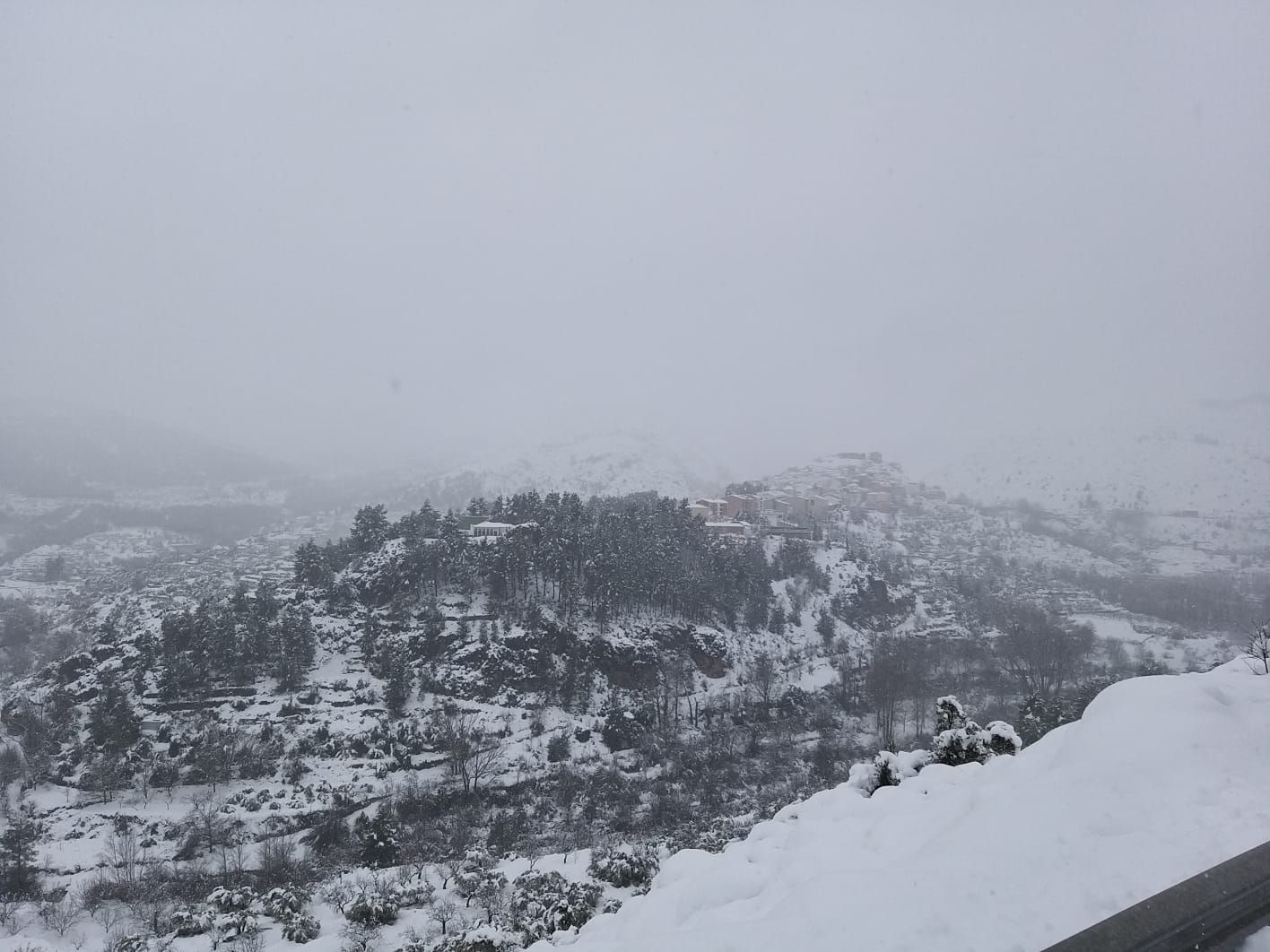 Nevada en Bejís