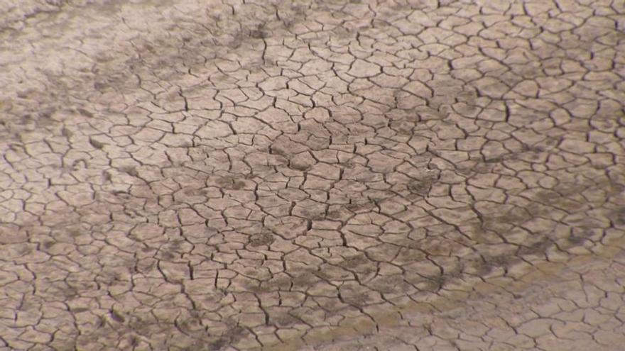 Instan a los ayuntamientos extremeños a activar los planes de emergencia por la escasez de agua