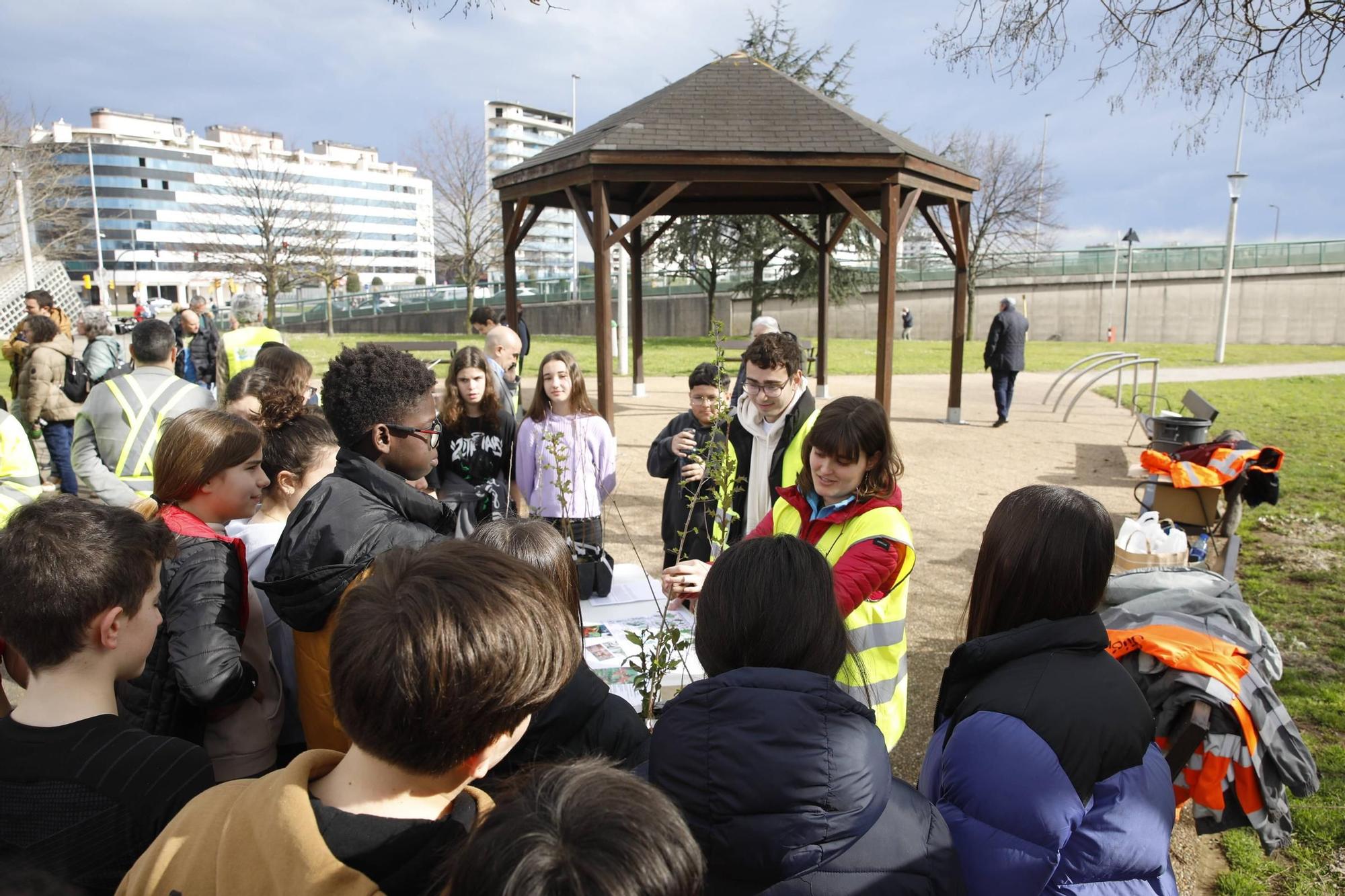 El secretario de Estado Hugo Morán participa en la plantación de minibosques en Gijón (en imágenes)