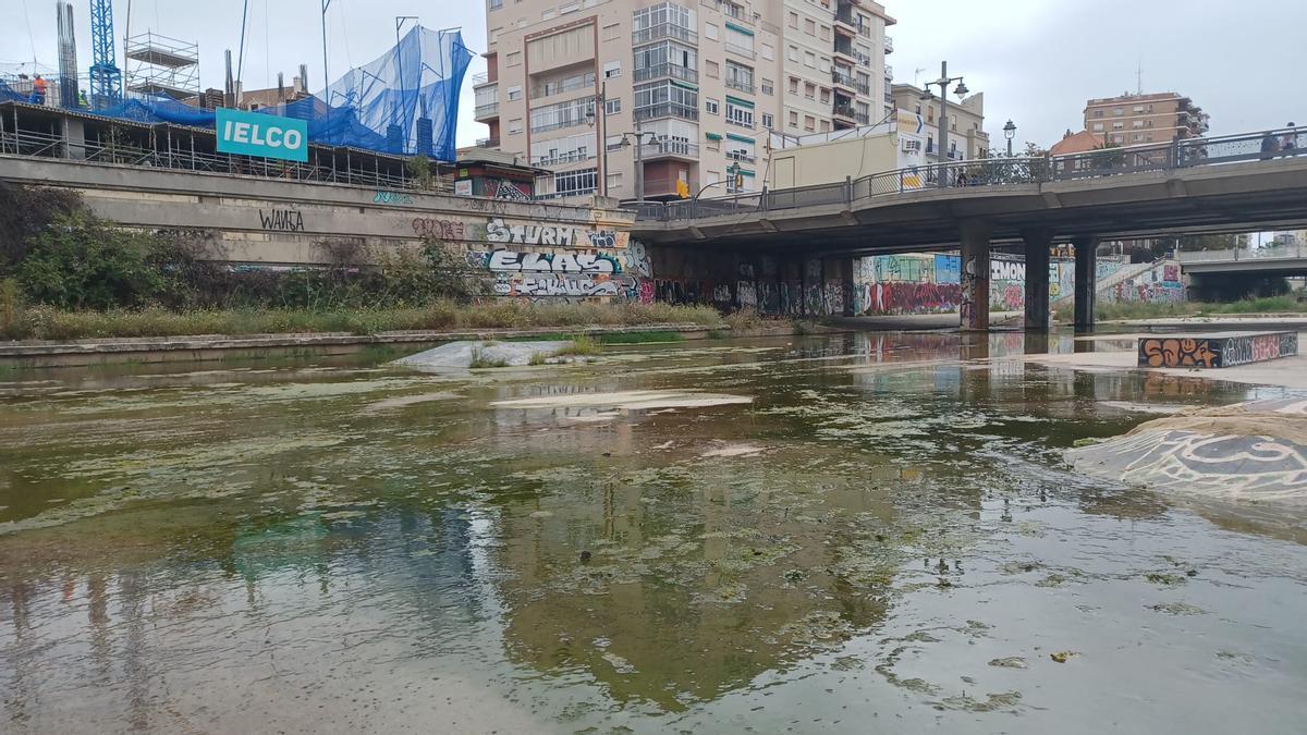 Estado actual del río Guadalmedina