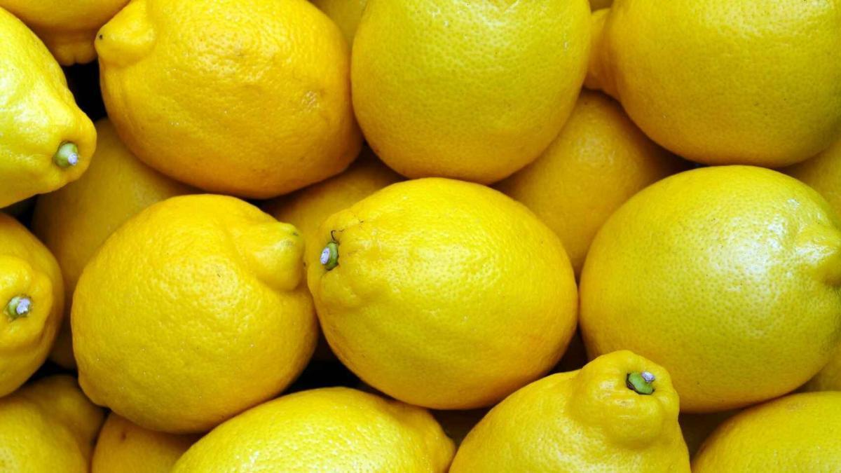 Tana se dedica al cultivo y comercialización de limones en Málaga y Murcia.