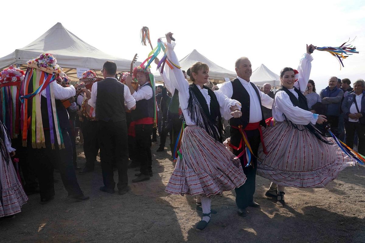 El baile del trenzaíllo.