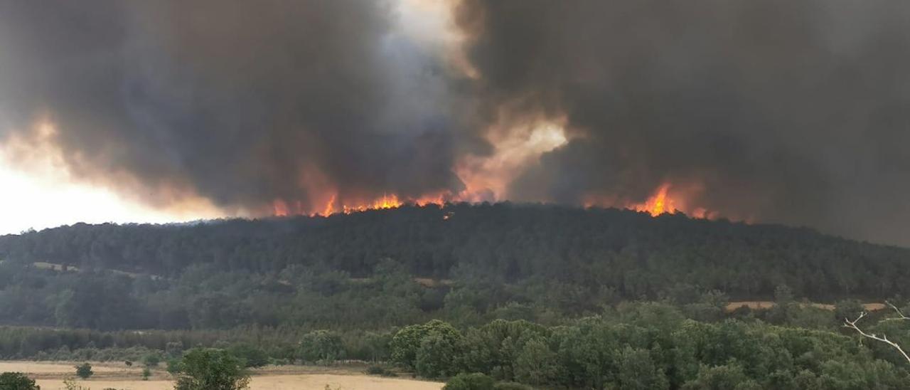 Incendio en la Sierra de la Culebra