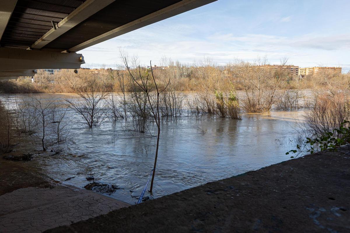 En imágenes I Así está el río Ebro a su paso por Zaragoza este lunes