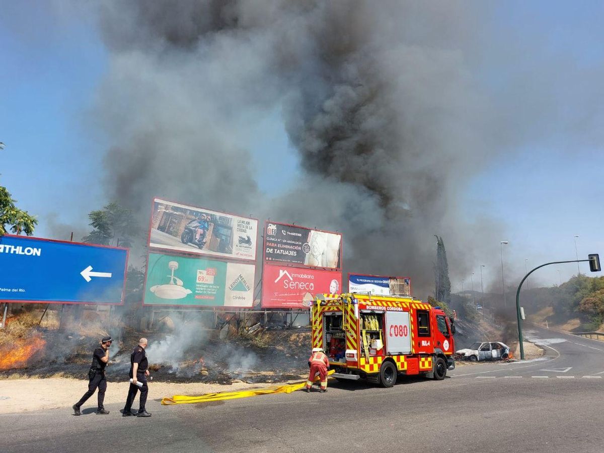 Efectivos de bomberos y Policía Local trabajan en la zona.