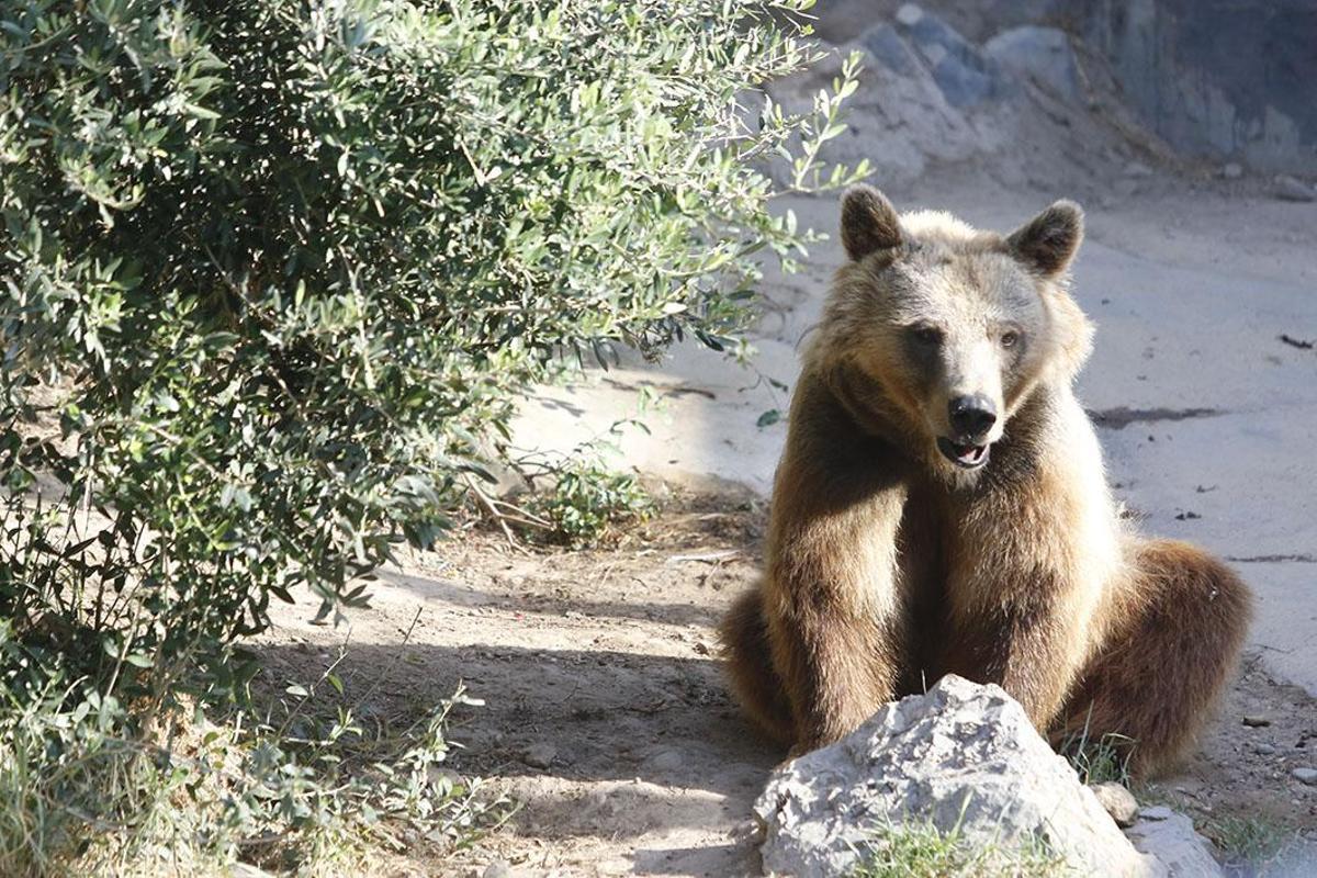Reapertura del Zoológico tras el estado de alarma
