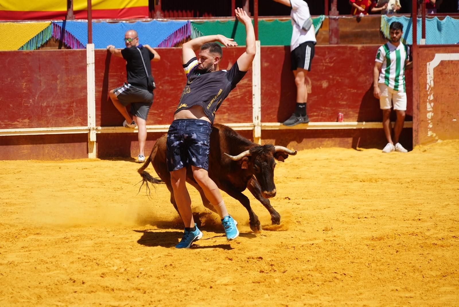 Gran ambiente, numeroso público y emoción en los encierros taurinos de El Viso