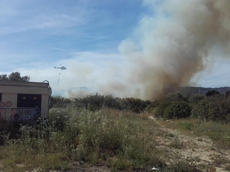 Alarma en Magaluf por un incendio en un descampado