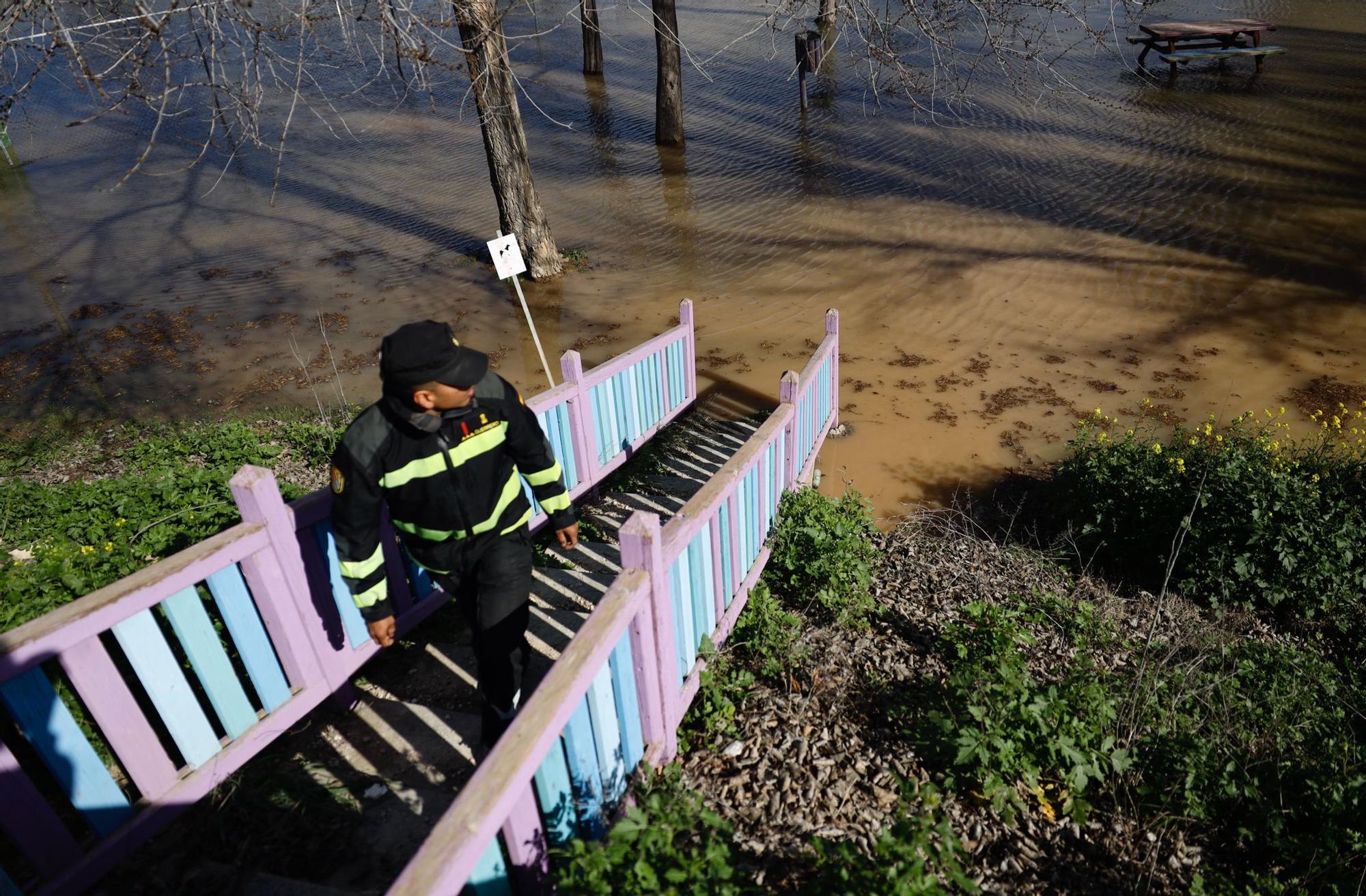 En imágenes | Así transcurre la crecida del Ebro a su paso por Aragón