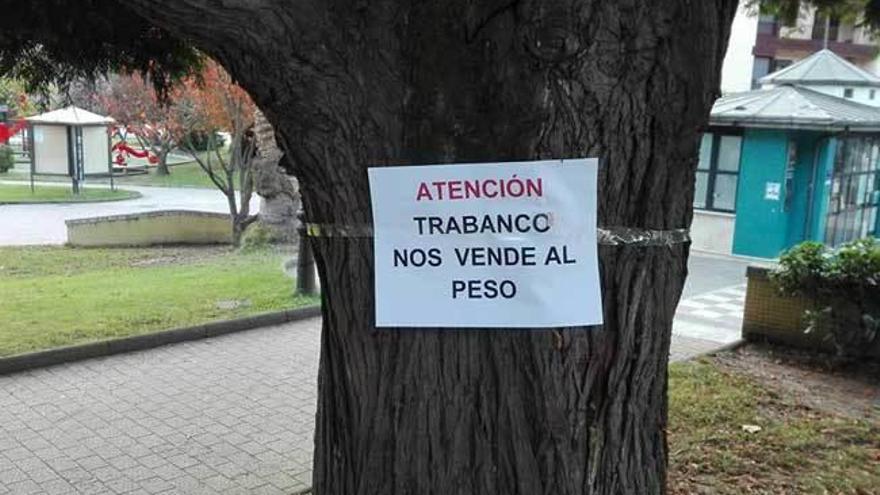 Polémica en Grado a cuenta de la tala de árboles en el parque Manuel Pedregal