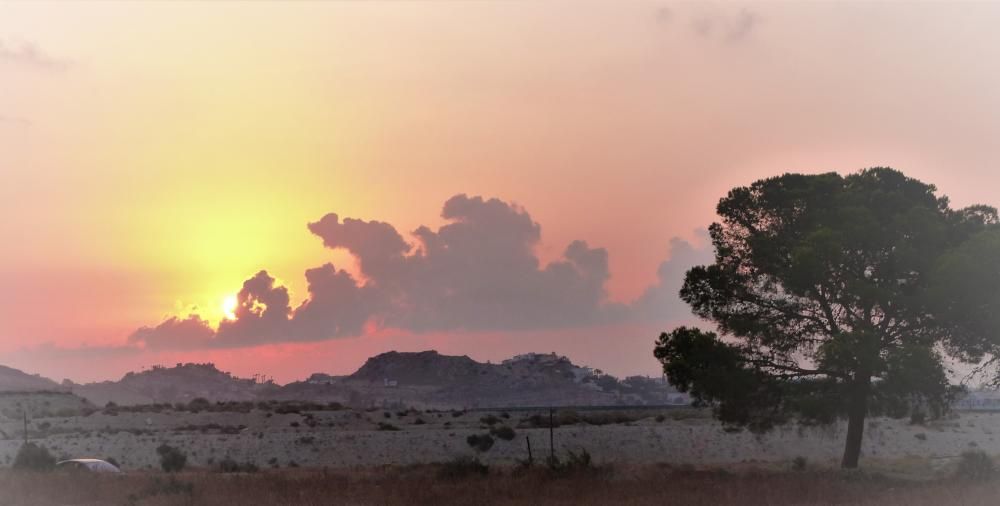 El Campello acerca su patrimonio natural