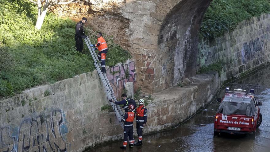 El hombre hallado en sa Riera, en Palma, murió por la hipotermia y se descarta que cayera de lo alto del puente