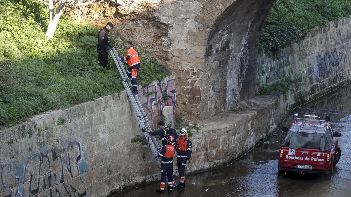 Muerto sa Riera Palma Mallorca | El hombre hallado en el cauce de sa ...