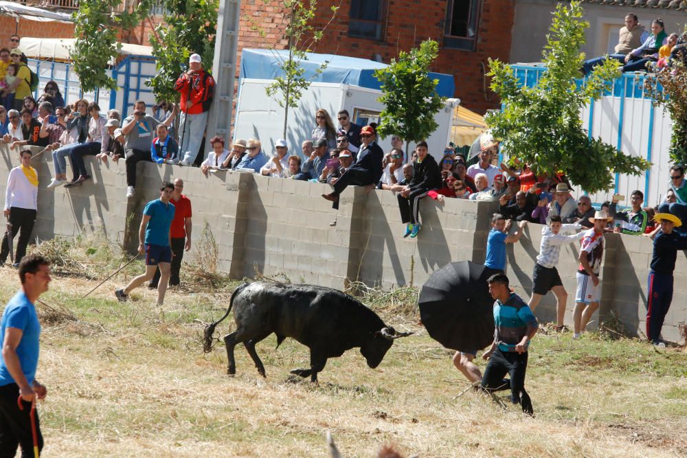 Espantes de Guarrate