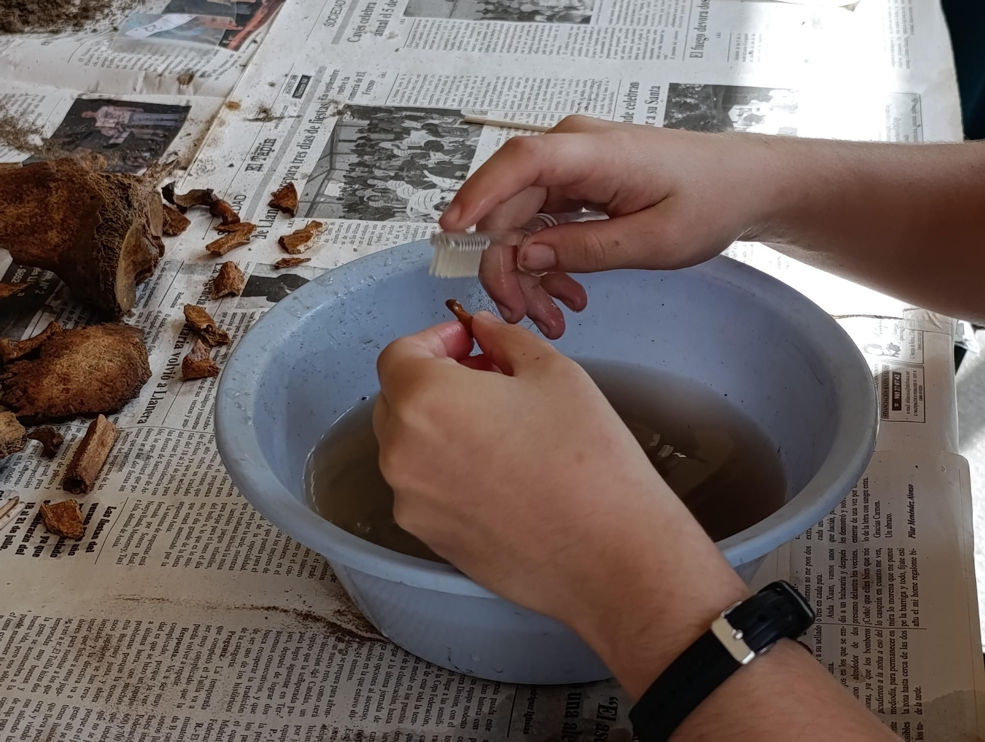 Así se trabaja en el laboratorio de "Lucus Asturum" en Villabona