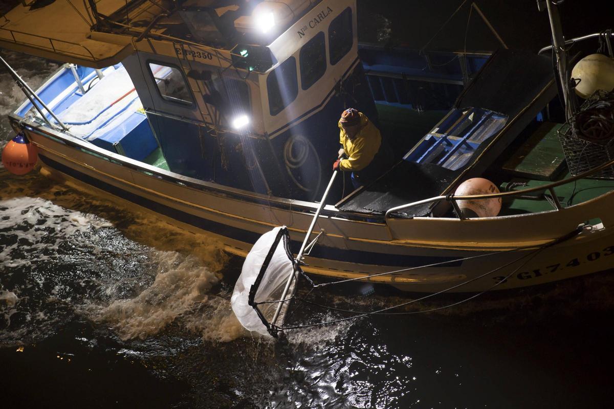 Una embarcación, faenando angula, en la desembocadura del Nalón, en la campaña 2023/2024.
