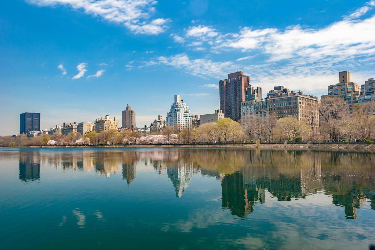 Central Park ofrece unas vistas espectaculares de la ciudad.