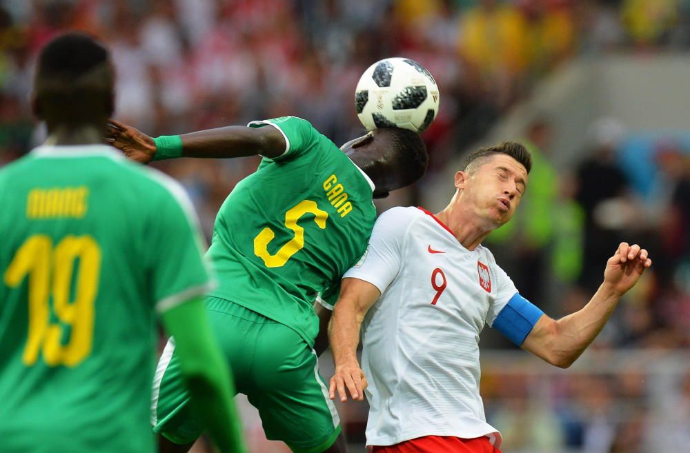 Polonia-Senegal