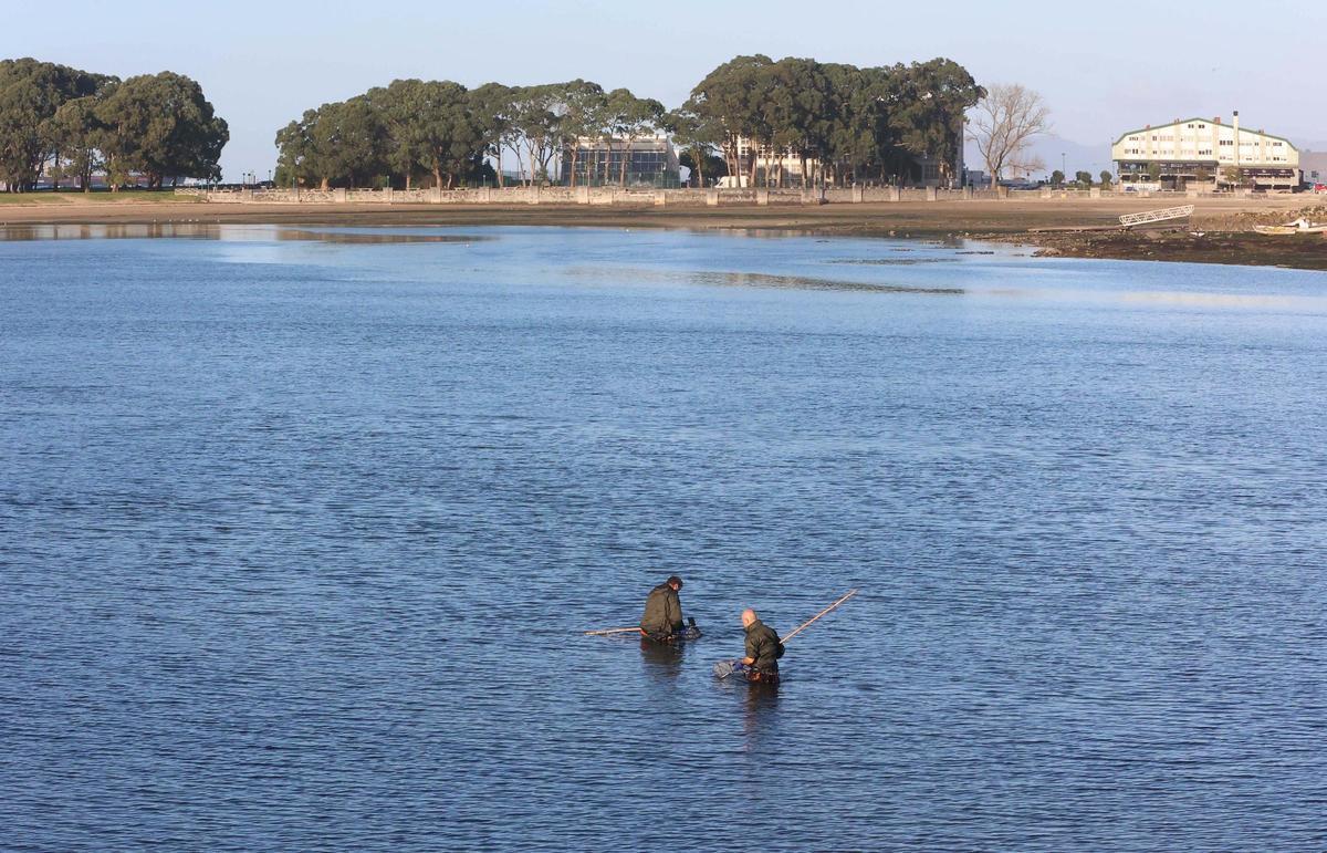 Los mariscadores a pie de la ría de O Burgo vuelven a faenar tras casi cuatro años de espera Los mariscadores a pie de la ría de O Burgo vuelven a faenar tras casi cuatro años de espera