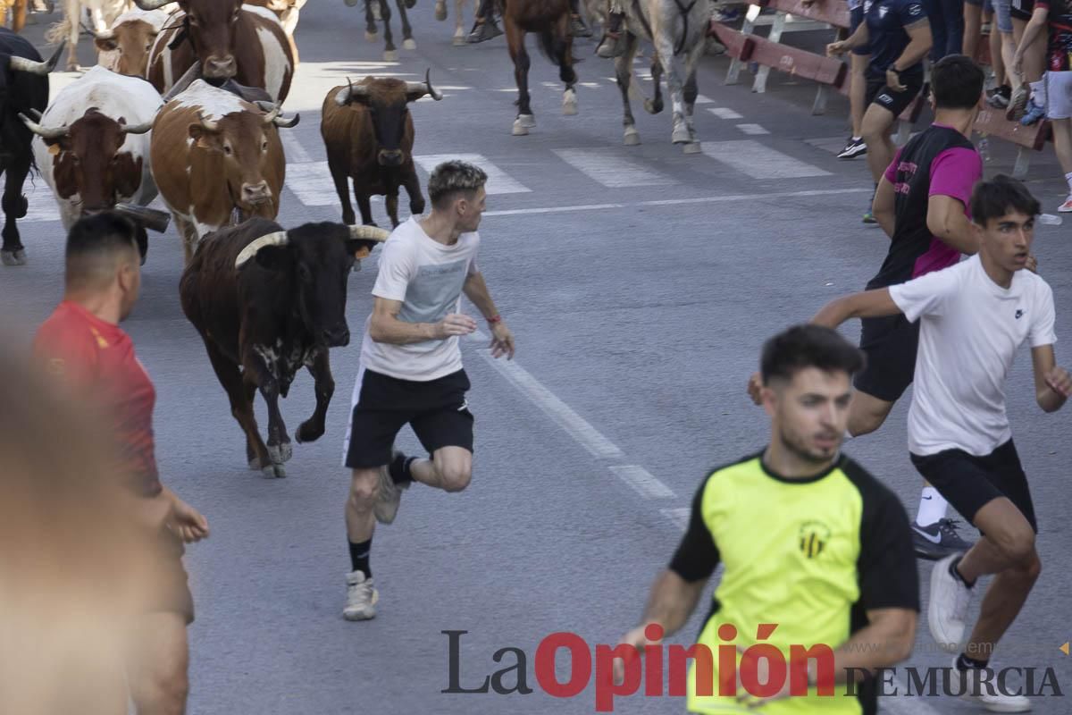 Quinto encierro de las Fiestas de Moratalla