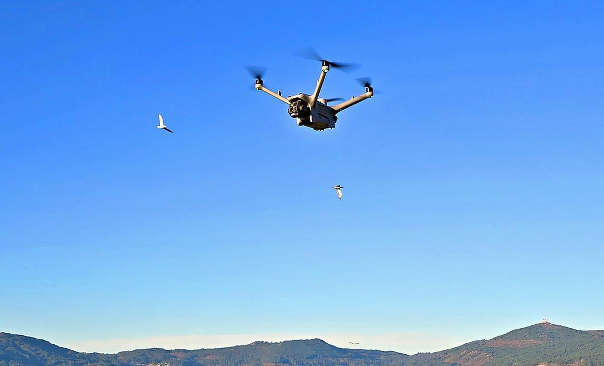 Los drones de la Policía Local de Vigo