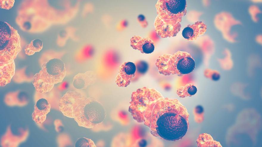 Una medicina de precisión despoja al cáncer de sus defensas de ADN.
