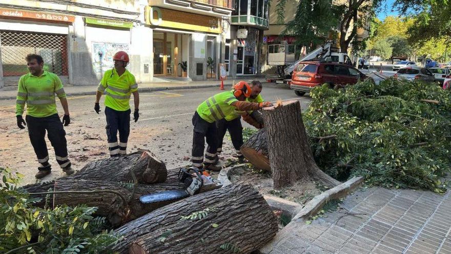 La reforma urgente de la avenida del Torrent de Manacor se queda sin fecha