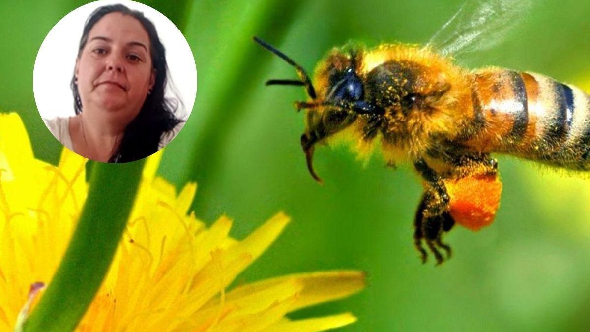 Mari Carmen aborto picadura abejorro