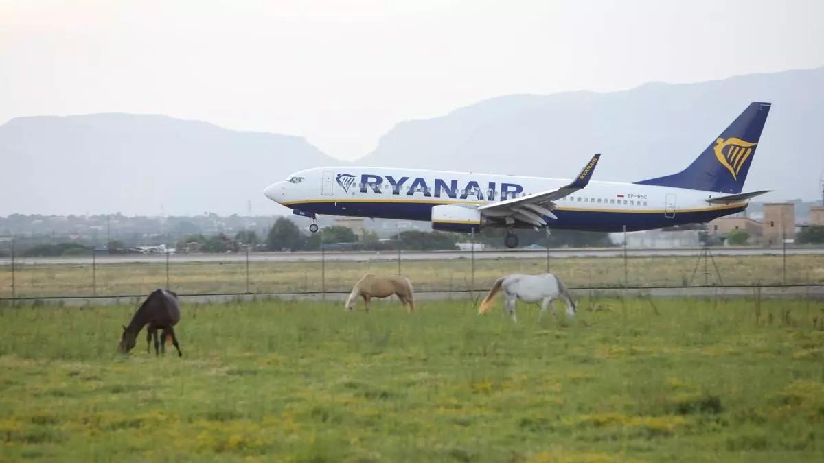 Ein Ryanair-Flugzeug im Landeanflug am Flughafen Mallorca.