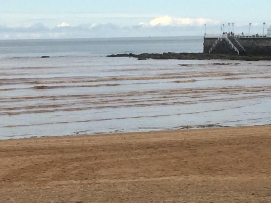 Aspecto del agua de San Lorenzo esta tarde