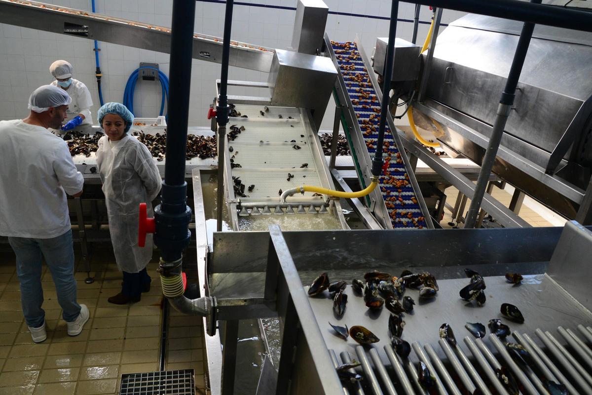 Visita a las instalaciones de Pescados Marcelino, una empresa con más de medio siglo de historia en el puerto de Aldán Visita a las instalaciones de Pescados Marcelino, una empresa con más de medio siglo de historia en el puerto de Aldán