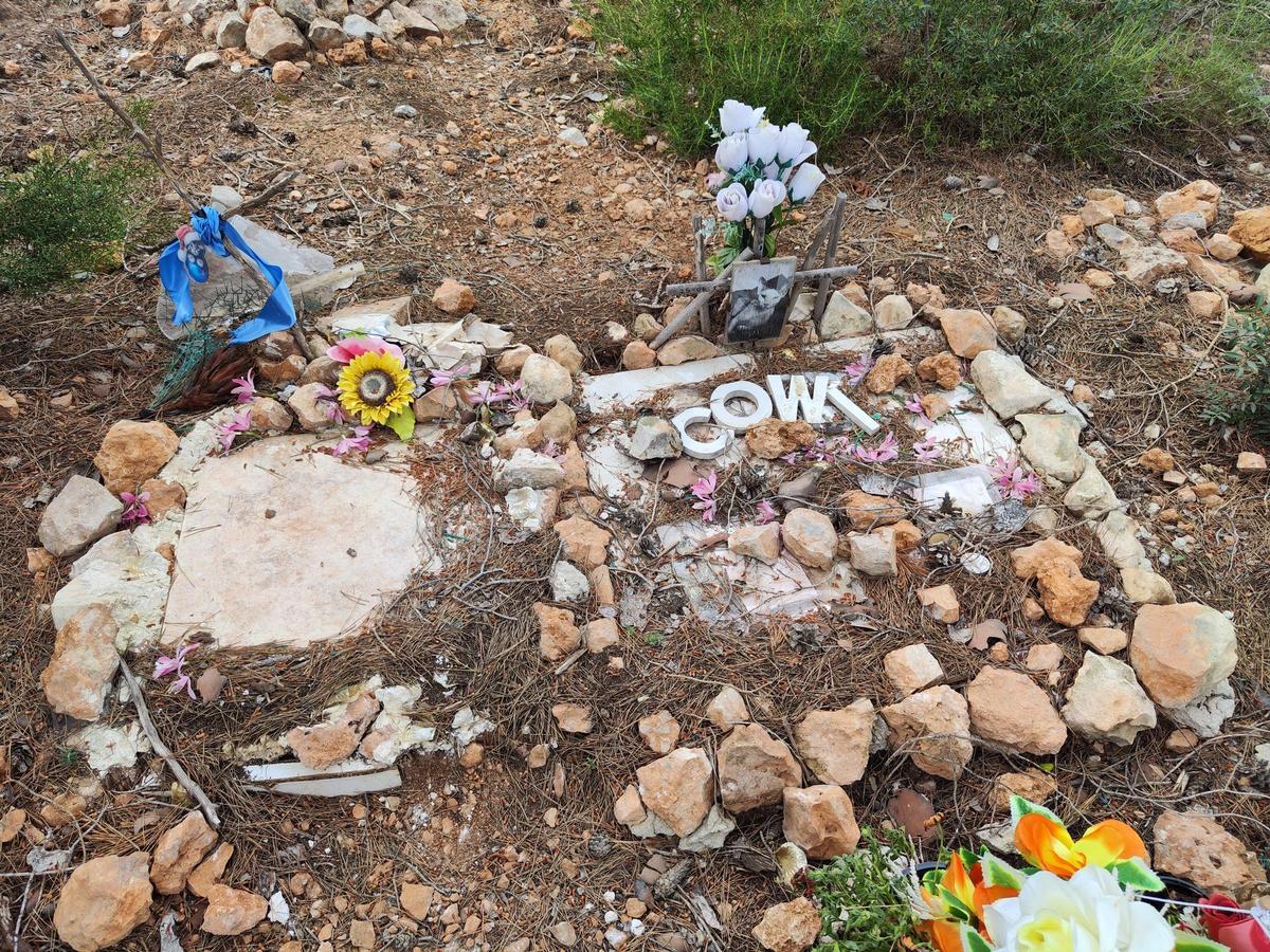 Una vieja foto del gato Cowi y flores de plástico en la tumba, en el cementerio de mascotas de sa Caleta