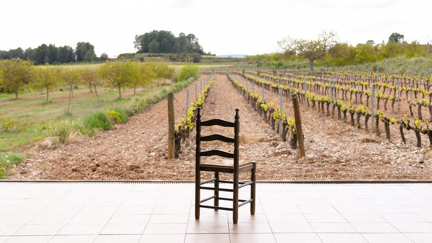 Nace la academia virtual &quot;Valencia Wine Time&quot;