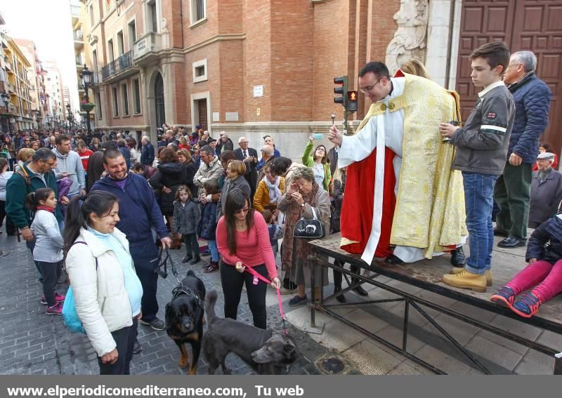 Castellón se vuelca con Sant Antoni