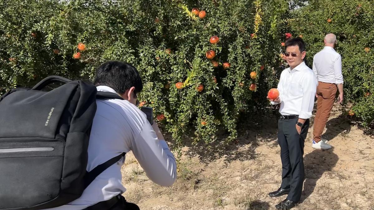 La delegación tailandesa visitó uno de los campos donde se cultiva la granada mollar de Elche.