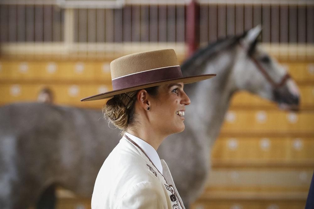 Cabalcor echa a andar con el concurso morfológico