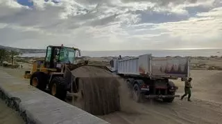 San Bartolomé de Tirajana traslada 78 toneladas de arena de las dunas de Maspalomas desde el paseo a Playa del Inglés