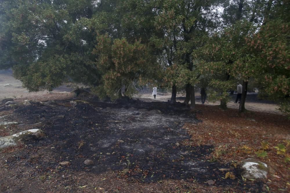 Incendios en Galicia | Vigo, cercado por el fuego