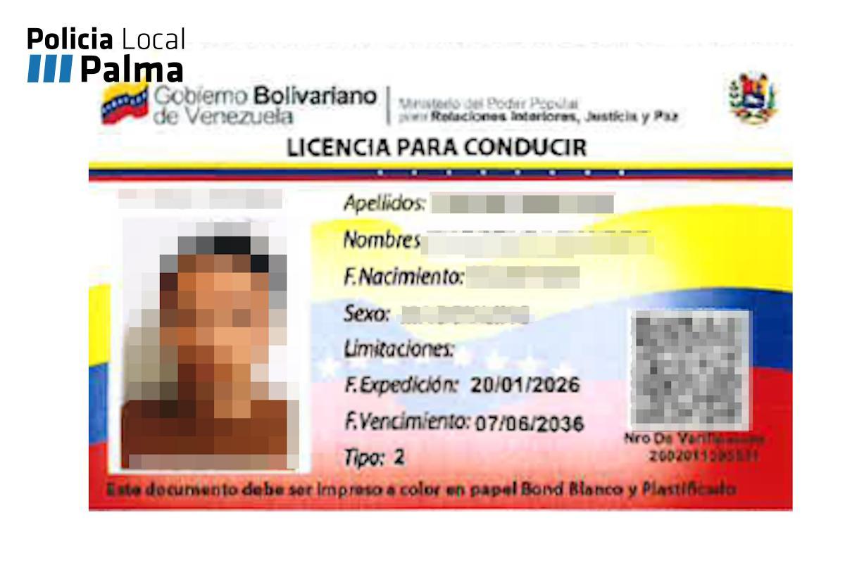 El permiso de conducir falsificado.